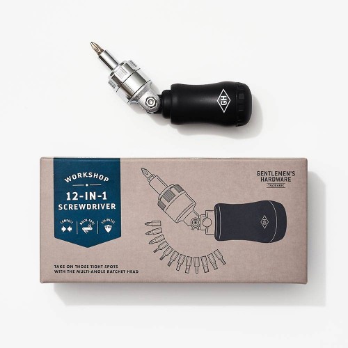 12 in 1 screwdriver